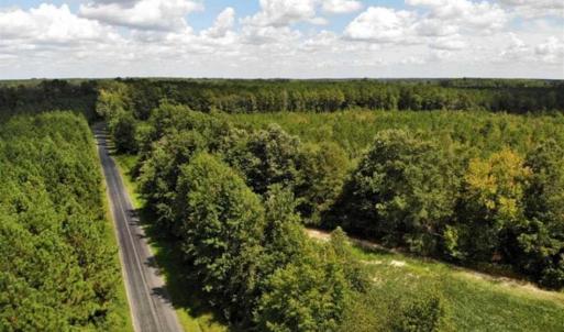 Photo of SOLD!!  61.12 Acres of Hunting Land for Sale in Greensville County VA!