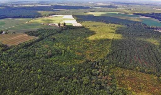 Photo of SOLD!!  61.12 Acres of Hunting Land for Sale in Greensville County VA!