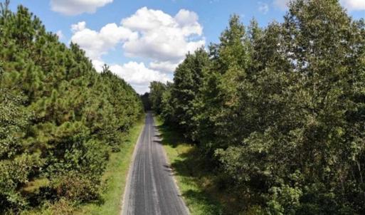 Photo of SOLD!!  61.12 Acres of Hunting Land for Sale in Greensville County VA!