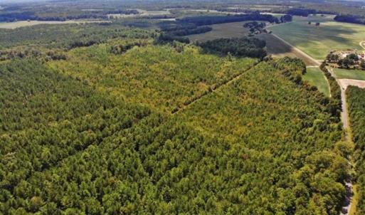 Photo of SOLD!!  61.12 Acres of Hunting Land for Sale in Greensville County VA!