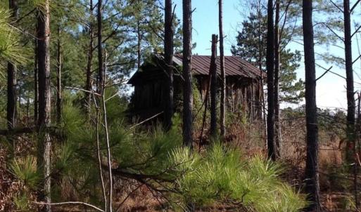 Photo of SOLD!!  8 Acres of Hunting Land for Sale in Halifax County VA!