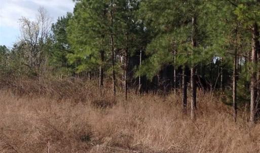 Photo of SOLD!!  8 Acres of Hunting Land for Sale in Halifax County VA!