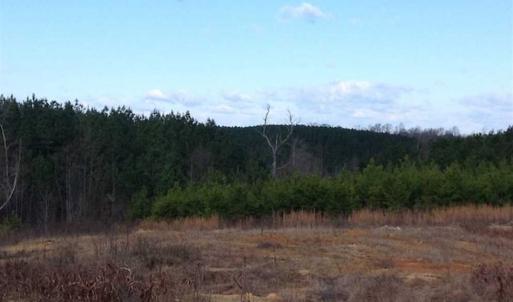 Photo of SOLD!!  8 Acres of Hunting Land for Sale in Halifax County VA!