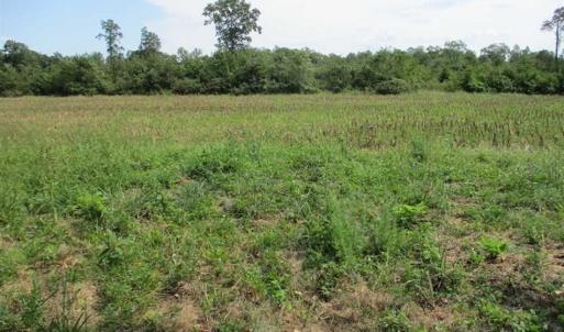Photo of SOLD!  68 Acres of Riverfront Recreational Land For Sale in King and Queen County VA!