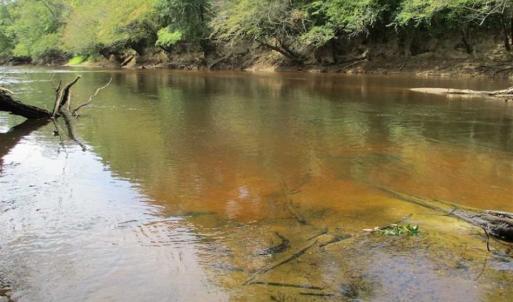 Photo of SOLD!  68 Acres of Riverfront Recreational Land For Sale in King and Queen County VA!