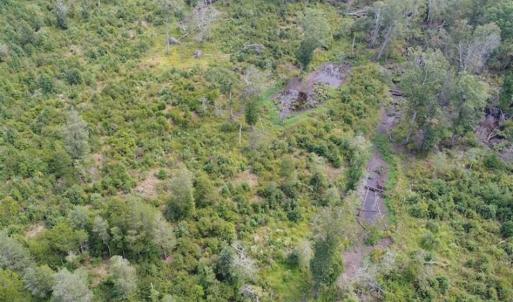 Photo of SOLD!  68 Acres of Riverfront Recreational Land For Sale in King and Queen County VA!