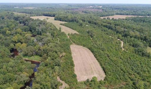 Photo of SOLD!  68 Acres of Riverfront Recreational Land For Sale in King and Queen County VA!