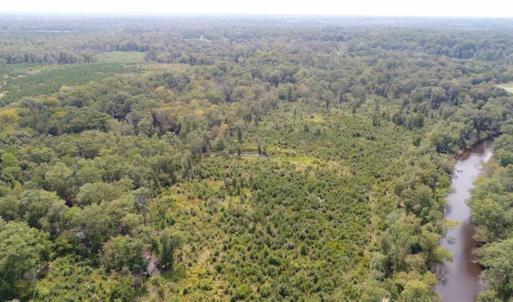 Photo of SOLD!  68 Acres of Riverfront Recreational Land For Sale in King and Queen County VA!