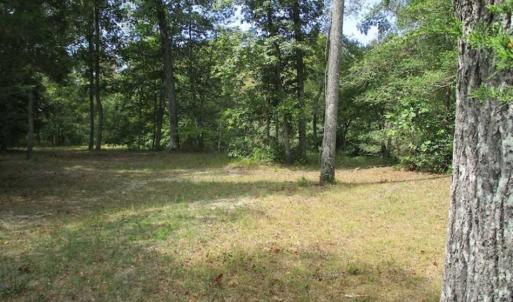 Photo of SOLD!  68 Acres of Riverfront Recreational Land For Sale in King and Queen County VA!
