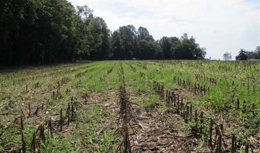 Photo of SOLD!  68 Acres of Riverfront Recreational Land For Sale in King and Queen County VA!