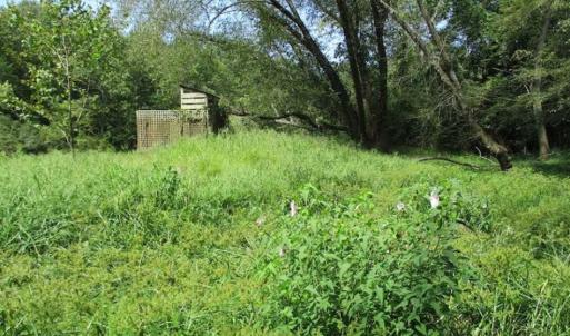 Photo of SOLD!  68 Acres of Riverfront Recreational Land For Sale in King and Queen County VA!