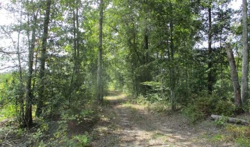 Photo of SOLD!  68 Acres of Riverfront Recreational Land For Sale in King and Queen County VA!