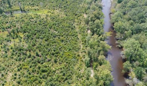 Photo of SOLD!  68 Acres of Riverfront Recreational Land For Sale in King and Queen County VA!