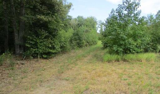 Photo of SOLD!  68 Acres of Riverfront Recreational Land For Sale in King and Queen County VA!
