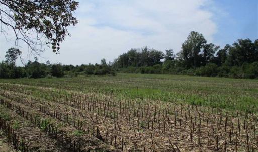 Photo of SOLD!  68 Acres of Riverfront Recreational Land For Sale in King and Queen County VA!