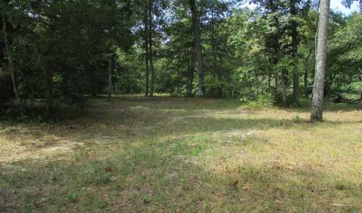 Photo of SOLD!  68 Acres of Riverfront Recreational Land For Sale in King and Queen County VA!