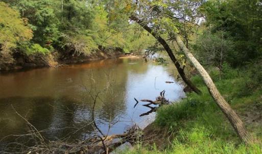Photo of SOLD!  68 Acres of Riverfront Recreational Land For Sale in King and Queen County VA!