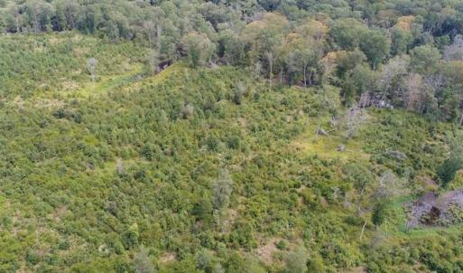 Photo of SOLD!  68 Acres of Riverfront Recreational Land For Sale in King and Queen County VA!