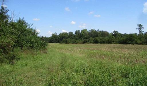 Photo of SOLD!  68 Acres of Riverfront Recreational Land For Sale in King and Queen County VA!