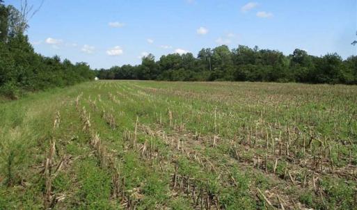 Photo of SOLD!  68 Acres of Riverfront Recreational Land For Sale in King and Queen County VA!