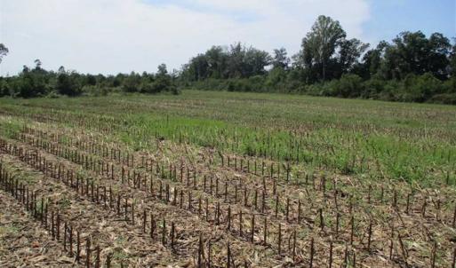 Photo of SOLD!  68 Acres of Riverfront Recreational Land For Sale in King and Queen County VA!