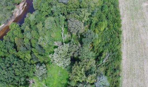 Photo of SOLD!  68 Acres of Riverfront Recreational Land For Sale in King and Queen County VA!