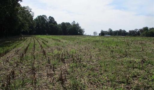Photo of SOLD!  68 Acres of Riverfront Recreational Land For Sale in King and Queen County VA!