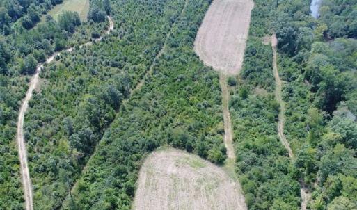 Photo of SOLD!  68 Acres of Riverfront Recreational Land For Sale in King and Queen County VA!
