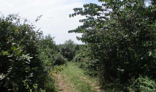 Photo of SOLD!  68 Acres of Riverfront Recreational Land For Sale in King and Queen County VA!