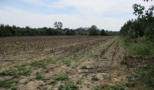 Photo of SOLD!  68 Acres of Riverfront Recreational Land For Sale in King and Queen County VA!