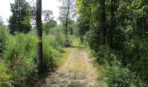 Photo of SOLD!  68 Acres of Riverfront Recreational Land For Sale in King and Queen County VA!
