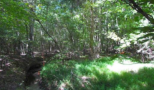 Photo of SOLD!!  8.62 Acres of Hunting and Residential Land For Sale in Lunenburg County VA!