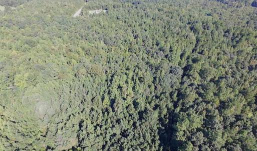 Photo of SOLD!!  8.62 Acres of Hunting and Residential Land For Sale in Lunenburg County VA!