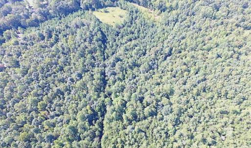 Photo of SOLD!!  8.62 Acres of Hunting and Residential Land For Sale in Lunenburg County VA!