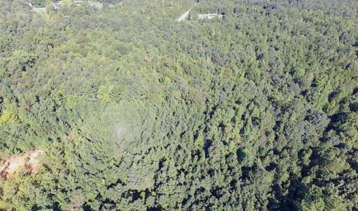 Photo of SOLD!!  8.62 Acres of Hunting and Residential Land For Sale in Lunenburg County VA!