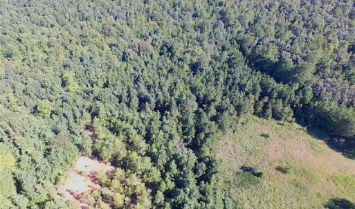 Photo of SOLD!!  8.62 Acres of Hunting and Residential Land For Sale in Lunenburg County VA!