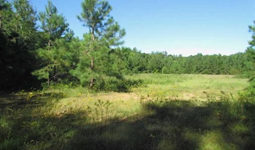 Photo of SOLD!!  8.62 Acres of Hunting and Residential Land For Sale in Lunenburg County VA!