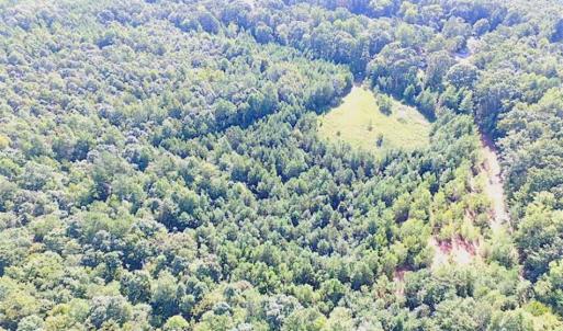 Photo of SOLD!!  8.62 Acres of Hunting and Residential Land For Sale in Lunenburg County VA!