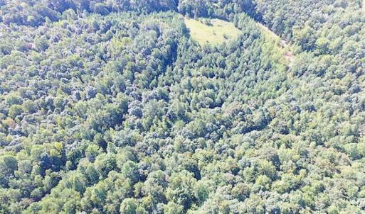 Photo of SOLD!!  8.62 Acres of Hunting and Residential Land For Sale in Lunenburg County VA!