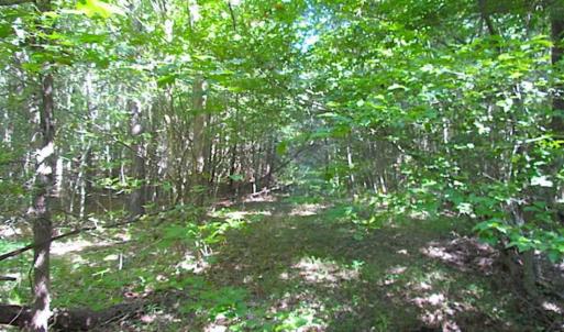 Photo of SOLD!!  8.62 Acres of Hunting and Residential Land For Sale in Lunenburg County VA!