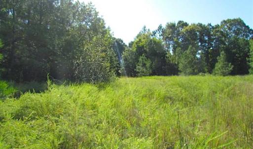 Photo of SOLD!!  8.62 Acres of Hunting and Residential Land For Sale in Lunenburg County VA!