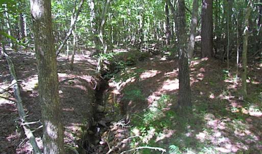 Photo of SOLD!!  8.62 Acres of Hunting and Residential Land For Sale in Lunenburg County VA!