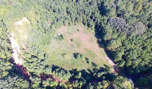 Photo of SOLD!!  8.62 Acres of Hunting and Residential Land For Sale in Lunenburg County VA!