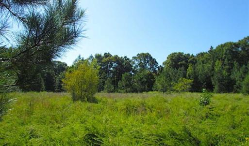 Photo of SOLD!!  8.62 Acres of Hunting and Residential Land For Sale in Lunenburg County VA!
