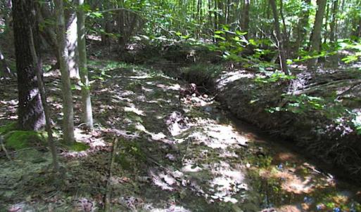 Photo of SOLD!!  8.62 Acres of Hunting and Residential Land For Sale in Lunenburg County VA!