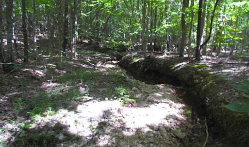 Photo of SOLD!!  8.62 Acres of Hunting and Residential Land For Sale in Lunenburg County VA!