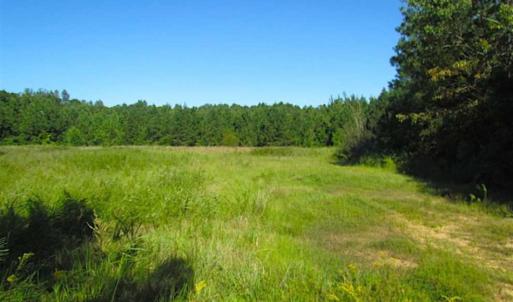 Photo of SOLD!!  8.62 Acres of Hunting and Residential Land For Sale in Lunenburg County VA!