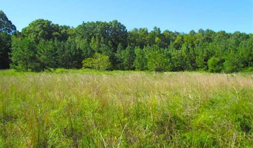 Photo of SOLD!!  8.62 Acres of Hunting and Residential Land For Sale in Lunenburg County VA!