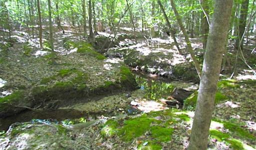 Photo of SOLD!!  8.62 Acres of Hunting and Residential Land For Sale in Lunenburg County VA!