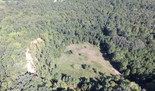 Photo of SOLD!!  8.62 Acres of Hunting and Residential Land For Sale in Lunenburg County VA!
